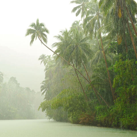 Raindrop Serenades: Songs from the Cloud's Embrace