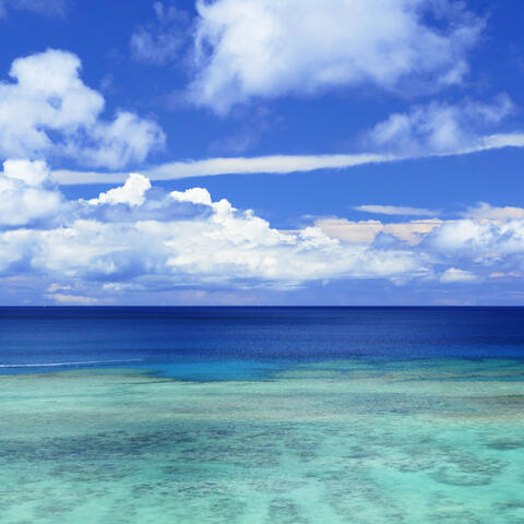 Tranquil Seascapes: Ethereal Melodies Across Quiet Ocean Waves