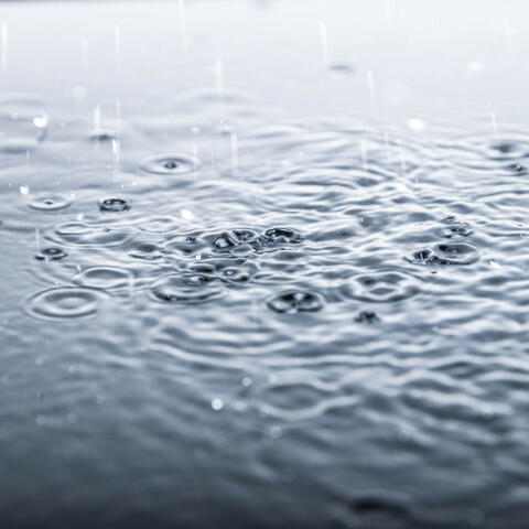 Raindrop Serenity: Calmness in Every Drop