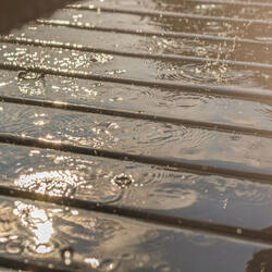 Rainy PitterPatter Melodies Serene