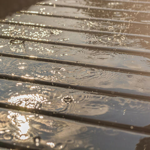 Pitter-Patter Melodies: Rain's Soothing Symphony