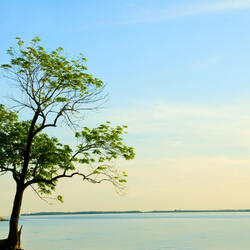 Waterscape Melodic Serenity Glow