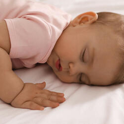 Naps Dreaming Magical Echoes