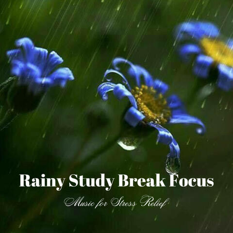 Rainy Study Break Focus: Music for Stress Relief