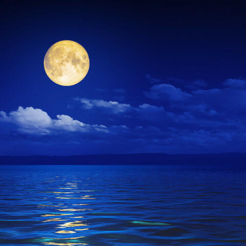 Oceanic Chorus of Soothing Touch: Music for Stress Relief