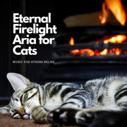Cat's Resonant Aria by Firelight