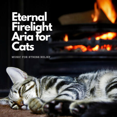 Eternal Firelight Aria for Cats: Music for Stress Relief