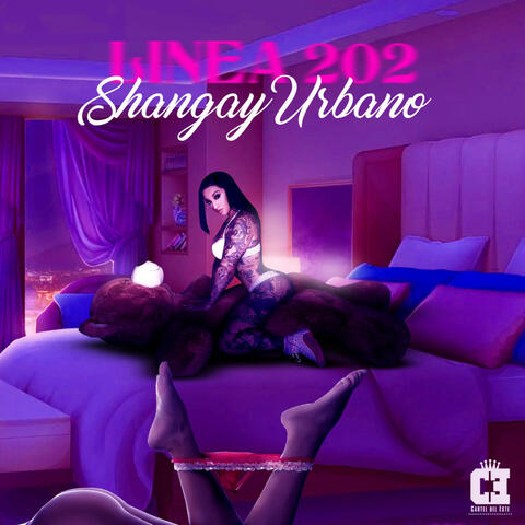 Linea 202