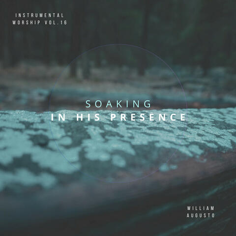 Soaking in His Presence, Vol. 16