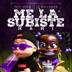 Me La Subiste Mami
