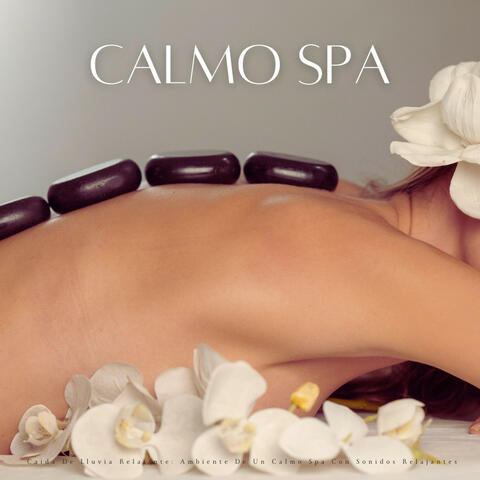 Caida De Lluvia Relajante: Ambiente De Un Calmo Spa Con Sonidos Relajantes