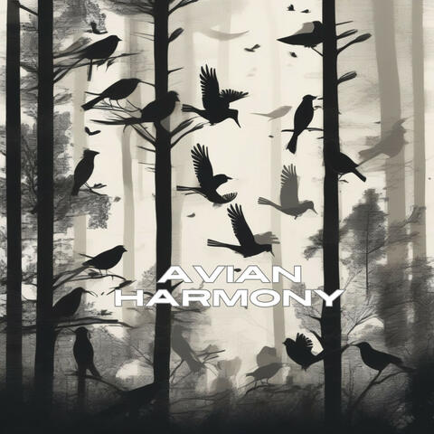 Avian Harmony: Indulge in the Calming Melodies of Bird Sounds ASMR for Ultimate Tranquility