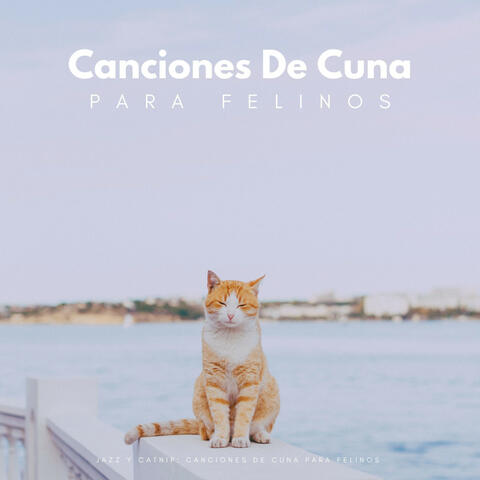 Jazz Y Catnip: Canciones De Cuna Para Felinos