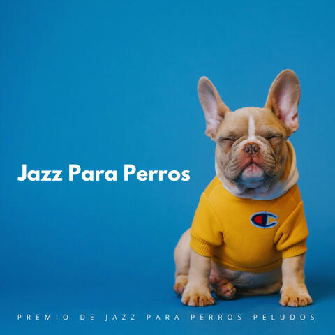Premio De Jazz Para Perros Peludos