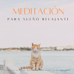 Preludio De Piano Para La Comodidad Del Gato