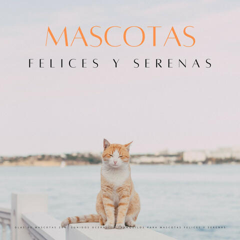 Olas De Mascotas Zen: Sonidos Oceánicos Tranquilos Para Mascotas Felices Y Serenas