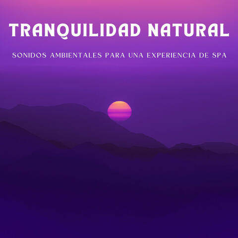 Tranquilidad Natural: Sonidos Ambientales Para Una Experiencia De Spa