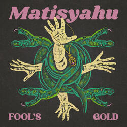 Fool's Gold