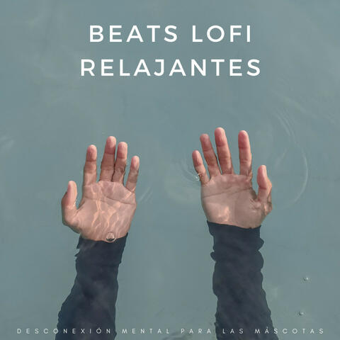 Beats Lofi Relajantes: Desconexión Mental Para Las Mascotas