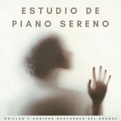 Estudio De Piano Sereno: Grillos Y Sonidos Nocturnos Del Bosque