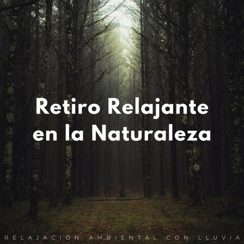 Retiro Relajante En La Naturaleza: Relajación Ambiental Con Lluvia