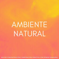 Inspiración Ambiental Y Enfoque Elevado