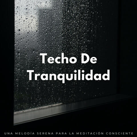 Techo De Tranquilidad: Una Melodía Serena Para La Meditación Consciente
