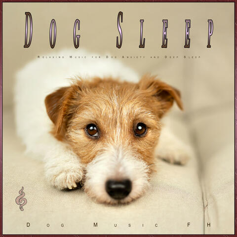 Dog Sleep: Relaxing Music for Dog Anxiety and Deep Sleep