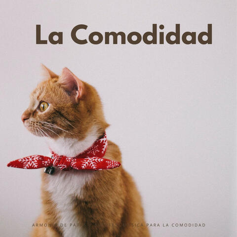 Armonía De Patas Y Bigotes: Música Para La Comodidad