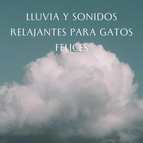 Retiro Lluvioso Para Gatitos: Lluvia Y Sonidos Relajantes Para Gatos Felices