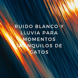 Armonía Felina De Ronroneo