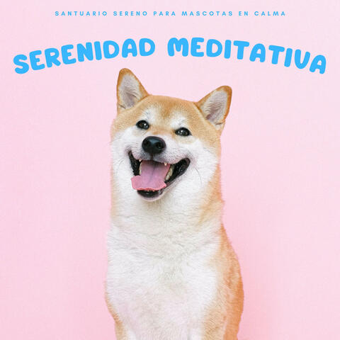 Santuario Sereno Para Mascotas En Calma: Serenidad Meditativa