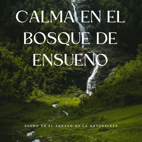 Calma En El Bosque De Ensueño: Sueño En El Abrazo De La Naturaleza