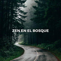 Momentos Zen En El Bosque