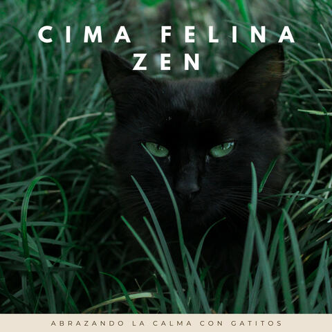 Cima Felina Zen: Abrazando La Calma Con Gatitos