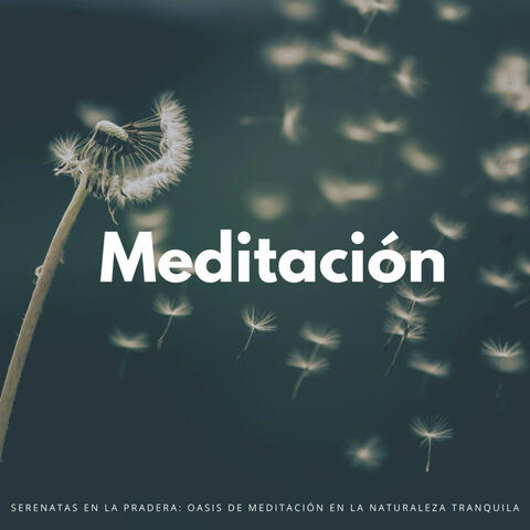 Serenatas En La Pradera: Oasis De Meditación En La Naturaleza Tranquila