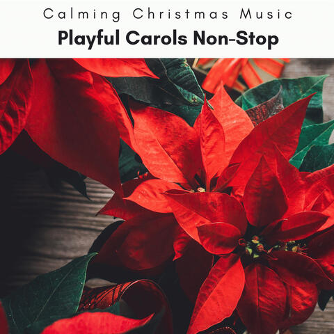 2023 Playful Carols Non-Stop