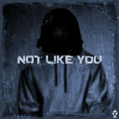 NOT LIKE YOU