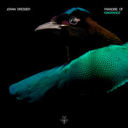 Paradise Of Ignorance