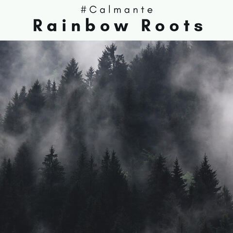 3 2 1 Rainbow Roots