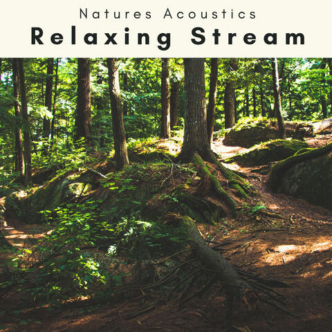 4 Ever Relaxing Stream