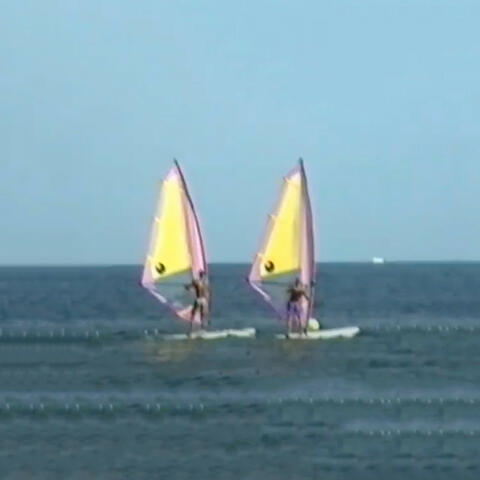 The Wind Surfer