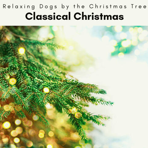4 Peace: Classical Christmas