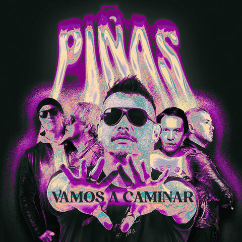 VAMOS A CAMINAR