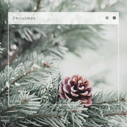 Today and Everyday: Jingle Bells