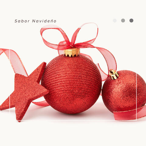 2 0 2 3 Navidad: Sabor Navideño