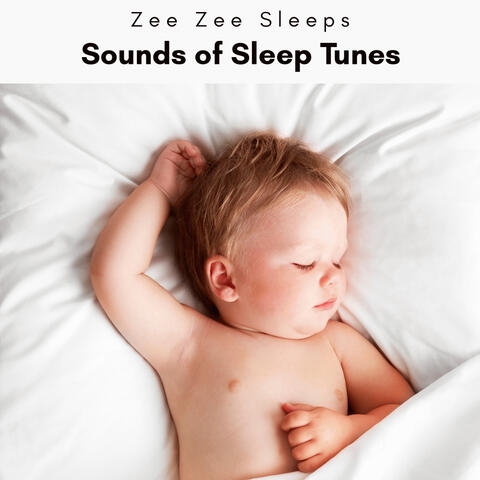 1 Sounds of Sleep Tunes