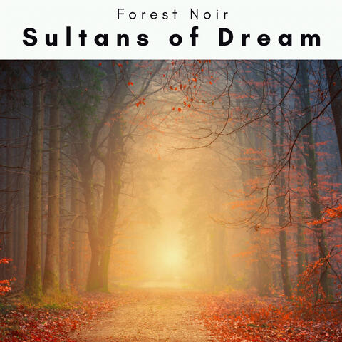 1 0 0 1 Sultans of Dream
