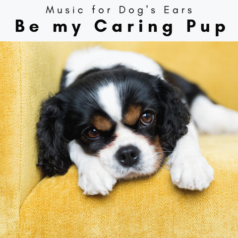 1 Be my Caring Pup