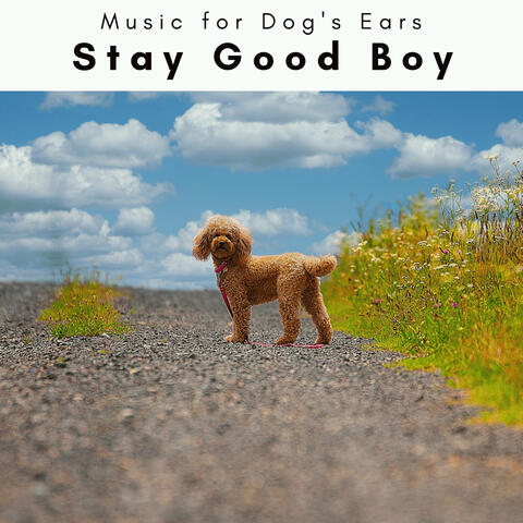 1 Stay Good Boy